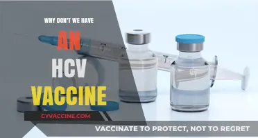 The Elusive HCV Vaccine: Challenges and Ongoing Research Efforts