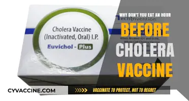 Avoid Eating Before Cholera Vaccine: Essential Pre-Vaccination Guidelines