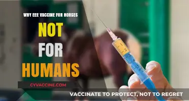 EEE Vaccine: Why Horses Are Protected, But Humans Remain Vulnerable