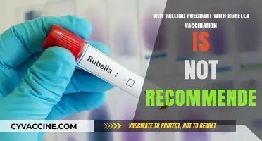 Rubella Vaccination and Pregnancy: Understanding the Risks and Recommendations