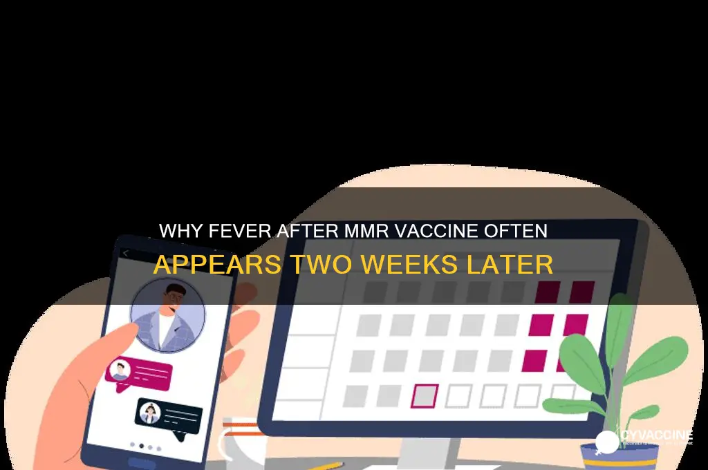 why fever afrr mmr vaccine kickd in after 2 week