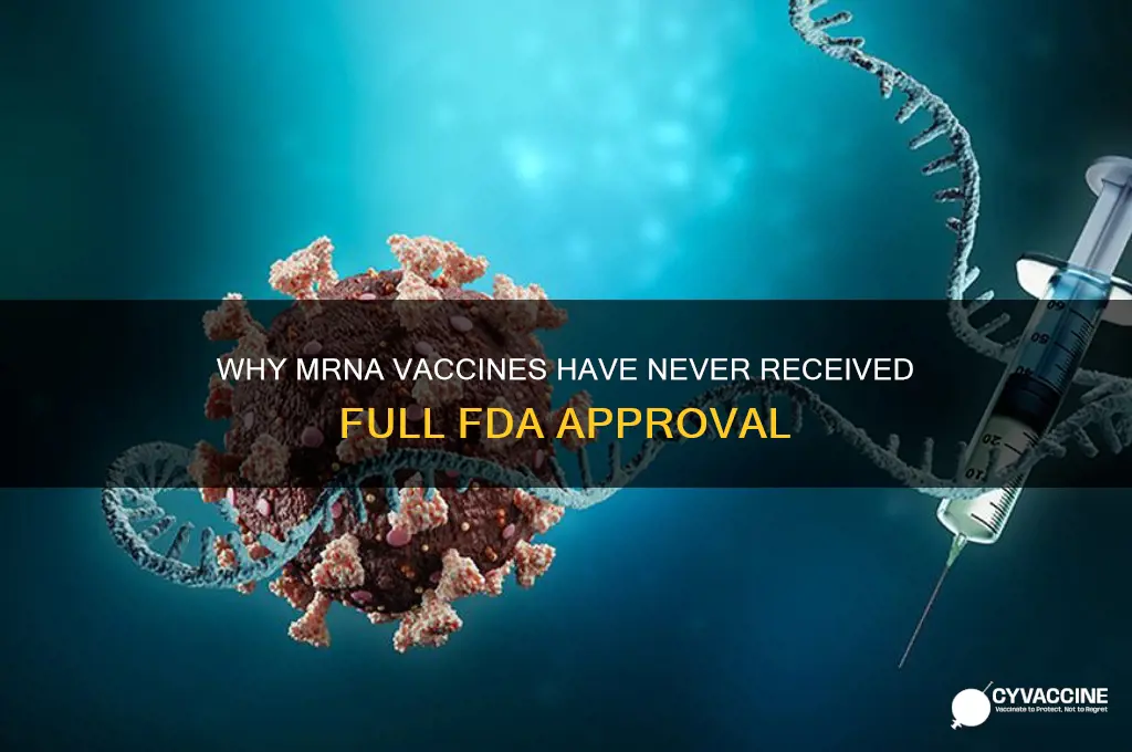 why has an mrna vaccine never been approved