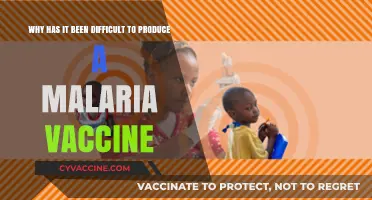 Challenges in Developing a Malaria Vaccine: Complexities and Hurdles Explained