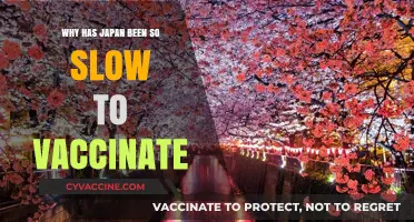 Japan's Vaccine Rollout: Unraveling the Delays and Challenges