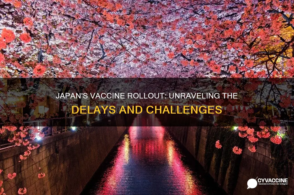 why has japan been so slow to vaccinate