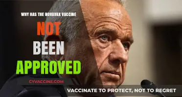 Why Novavax Vaccine Approval is Delayed: Key Factors Explained