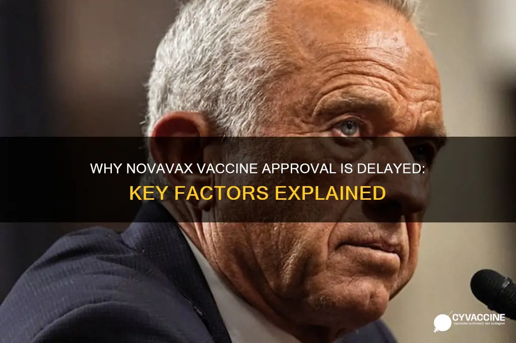 why has the novavax vaccine not been approved