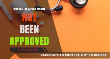 Oxford Vaccine Approval Delayed: Reasons Behind the Holdup Explained