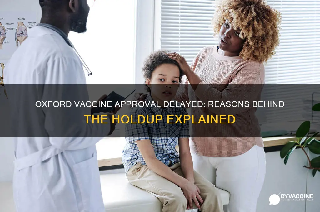why has the oxford vaccine not been approved