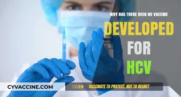 The Elusive HCV Vaccine: Challenges and Ongoing Research Efforts