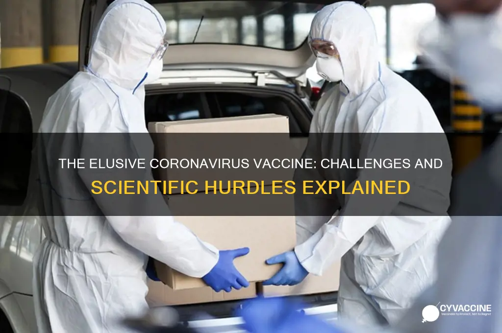 why has there never been a coronavirus vaccine