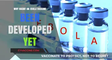 Ebola Vaccine Development Delays: Challenges, Barriers, and Future Prospects