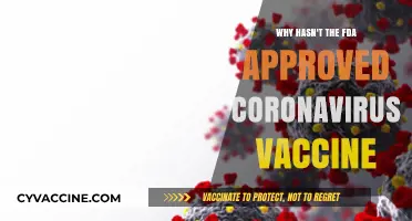 Why the FDA Hasn't Approved a Coronavirus Vaccine Yet: Key Factors