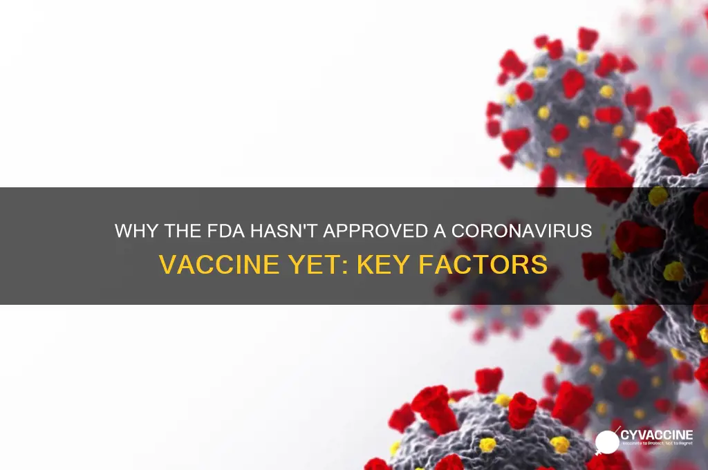 why hasn