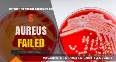 Why S. Aureus Vaccine Candidates Keep Failing: Unraveling the Challenges