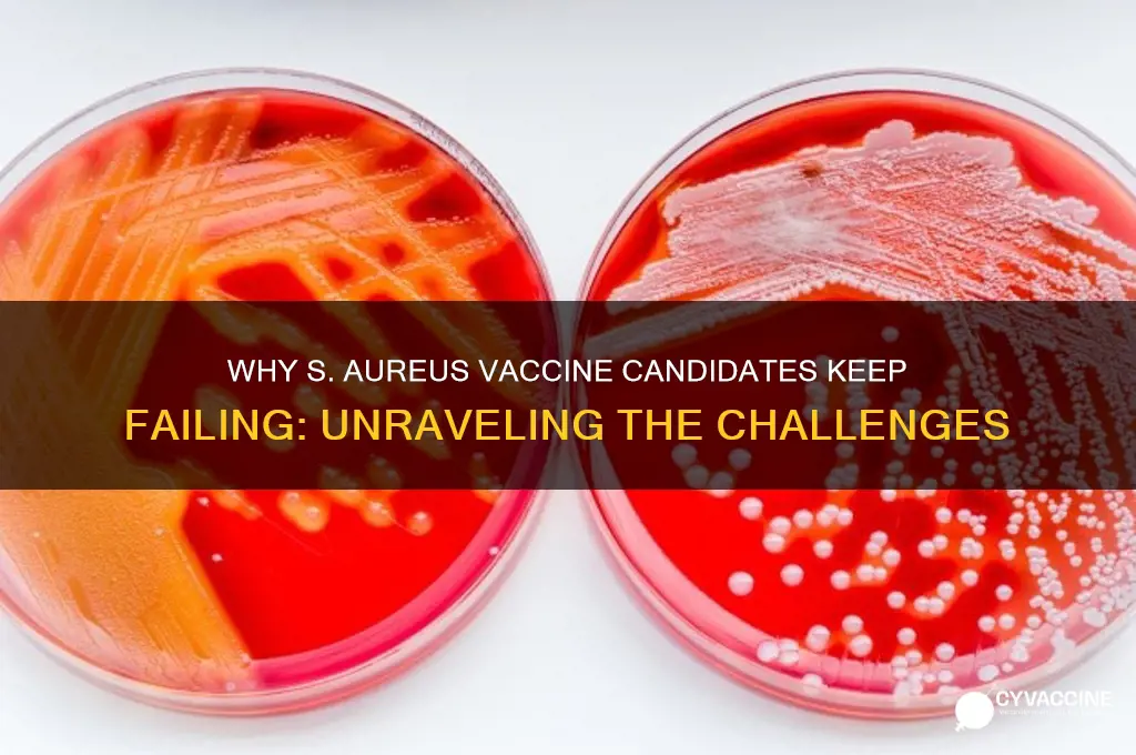 why have the vaccine candidates for s aureus failed