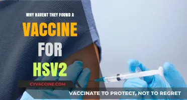 The Elusive HSV-2 Vaccine: Challenges and Ongoing Research Explained