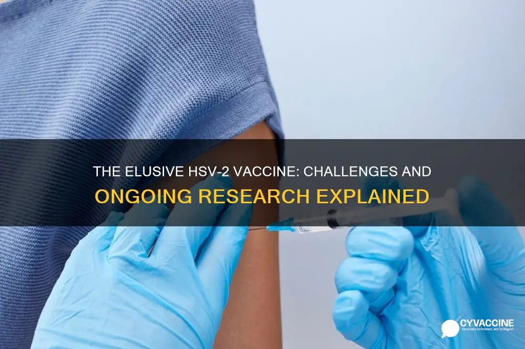 why havent they found a vaccine for hsv2