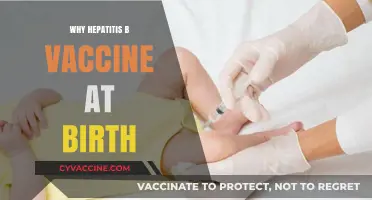 Hepatitis B Vaccine at Birth: Protecting Newborns from Lifelong Risks