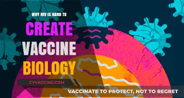 The Complex Biology Behind HIV: Challenges in Vaccine Development