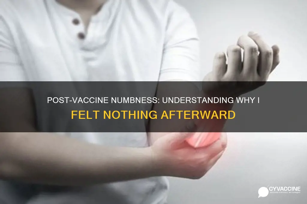 why i didn