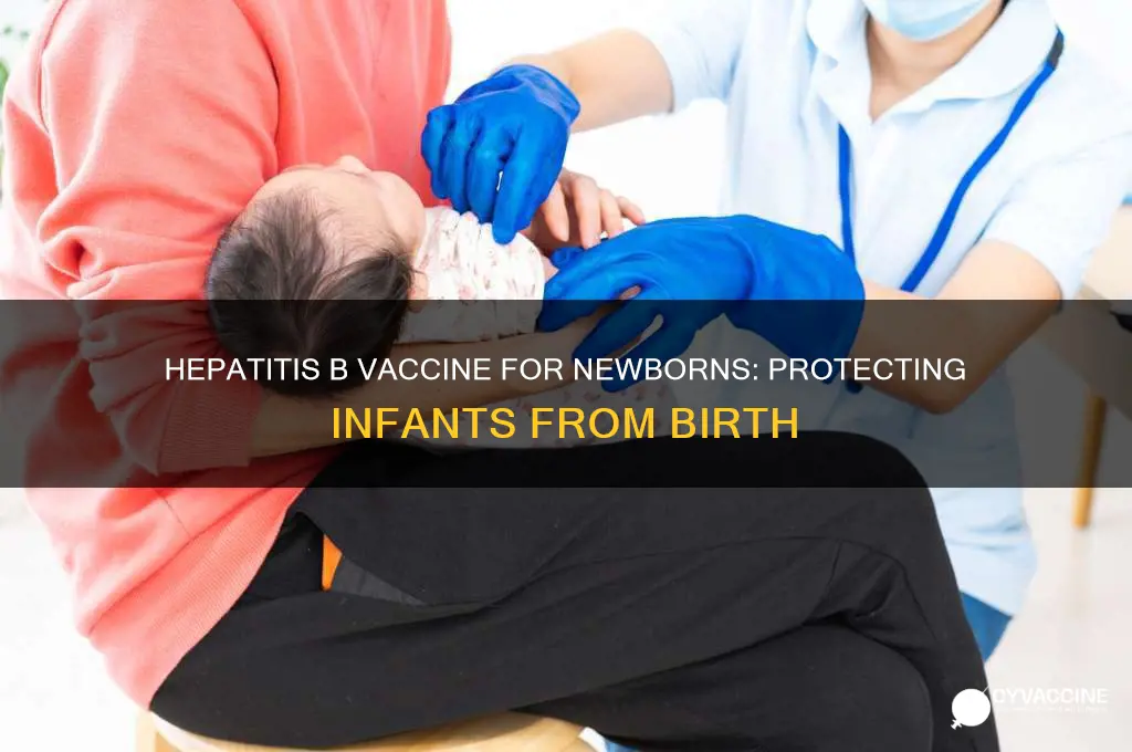 why is a hepatitis b vaccine for newborns