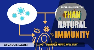 Vaccines vs. Natural Immunity: Why Science Wins for Long-Term Protection