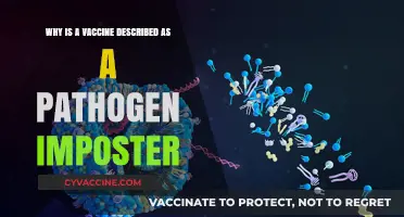 Vaccines: How Pathogen Imposters Train Our Immune System to Fight