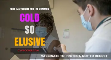 The Elusive Common Cold Vaccine: Unraveling the Scientific Challenge