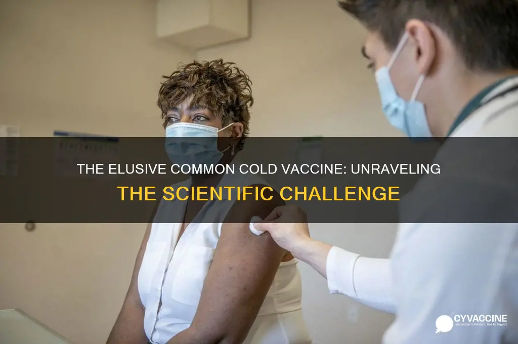 why is a vaccine for the common cold so elusive
