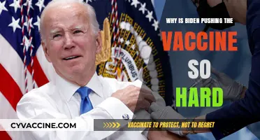 Biden's Vaccine Push: Unraveling the Urgent Drive for Mass Immunization