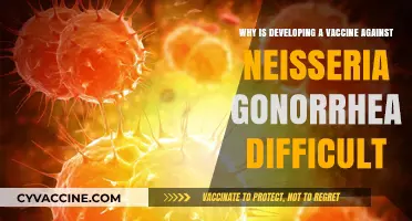 Challenges in Creating a Vaccine for Neisseria Gonorrhea: Unraveling the Complexity