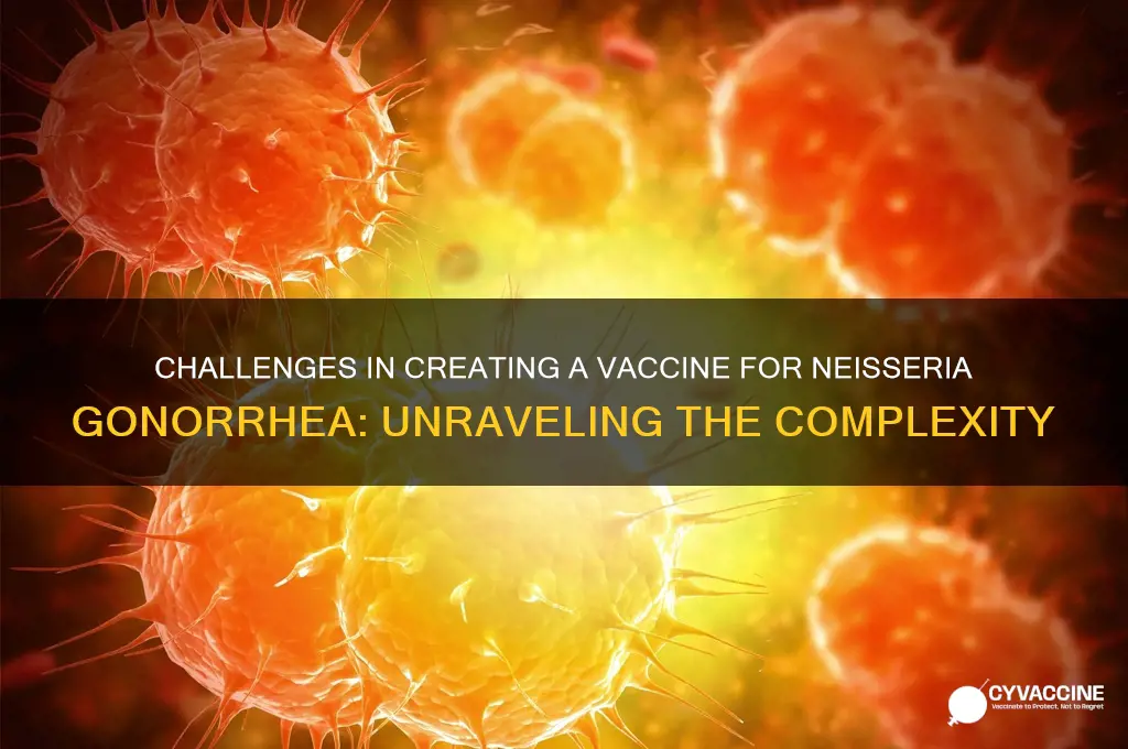 why is developing a vaccine against neisseria gonorrhea difficult