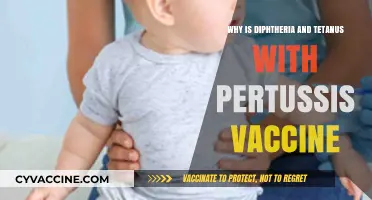 Diphtheria, Tetanus, Pertussis Vaccine: Essential Protection for All Ages