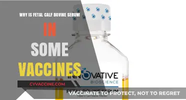 Why Fetal Calf Bovine Serum is Used in Certain Vaccines