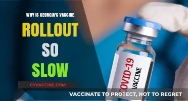 Georgia's Vaccine Rollout: Unraveling the Delays and Challenges