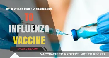 Guillain-Barré Syndrome: Understanding Its Link to Influenza Vaccines