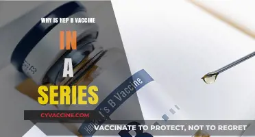 Understanding the Hep B Vaccine Series: Importance and Scheduling