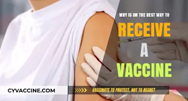 Why IM Injections Are the Optimal Vaccine Delivery Method