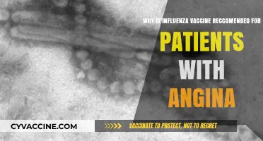 Influenza Vaccine: Essential Protection for Angina Patients' Heart Health