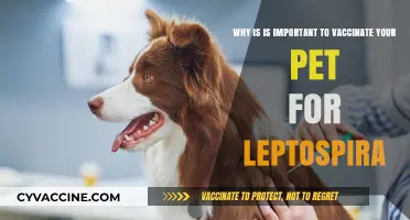 Protect Your Pet: The Importance of Leptospira Vaccination
