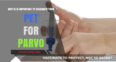 Protect Your Pet: The Importance of Parvo Vaccination Explained
