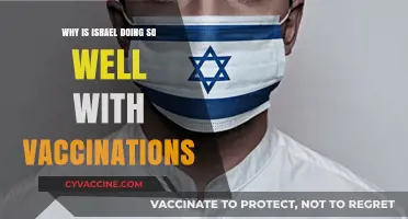 Israel's Vaccination Success: Unraveling the Strategy Behind Rapid Rollout