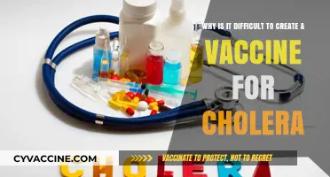 Challenges in Developing a Cholera Vaccine: Complexities and Hurdles Explained