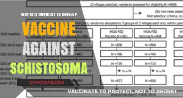 Challenges in Developing a Schistosoma Vaccine: Complexities and Hurdles
