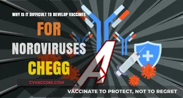 Challenges in Developing Norovirus Vaccines: Unraveling the Complexities