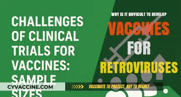 Challenges in Developing Retrovirus Vaccines: Unraveling the Complexities