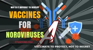 Challenges in Developing Norovirus Vaccines: Unraveling the Complexity