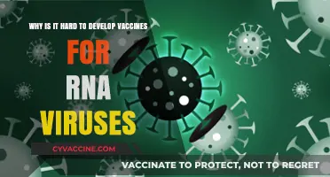 Challenges in Developing Vaccines for RNA Viruses: Unraveling the Complexity