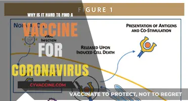 Challenges in Developing a Coronavirus Vaccine: Unraveling the Complexities